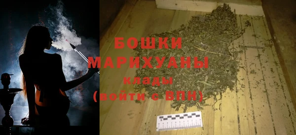 сатива Аркадак