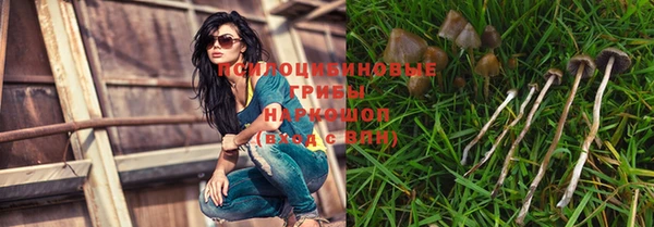 спиды Няндома